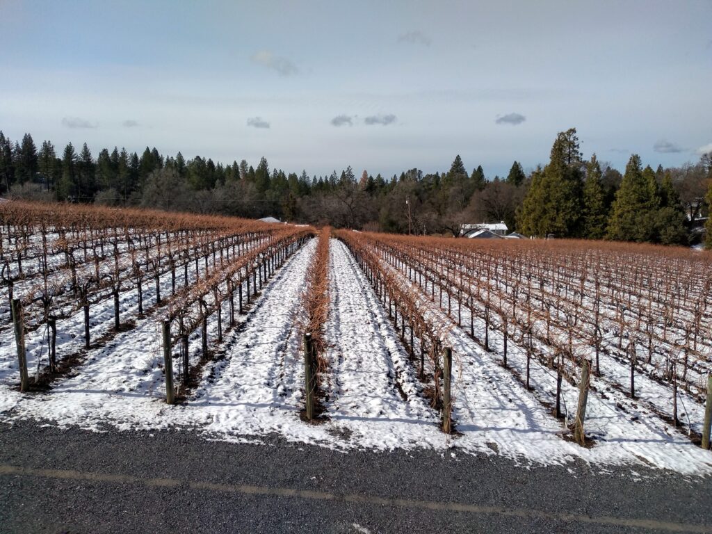 View West vineyard from winery on a snow day in winter