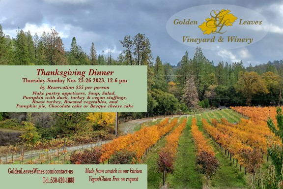 Golden Leaves Vineyard & Winery Thanks Giving Dinner Thursday - Sunday Nov 23-26 2023, 12-6pm.
By Reservation $55 per person
Flake pastry appetisers, Soup, Salad, Pumpkin with duck turkey & vegan stuffings, Roast turkey, Roasted vegetables; and, Pumpkin pie, Chocolate cake or Basque cheese cake for dessert.  Made from scratch in our kitchen.  Vegan/gluten free on request.  Goldenleaveswines.com
Tel 530-720-1888 